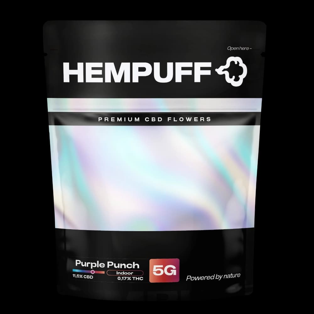 Purple Punch